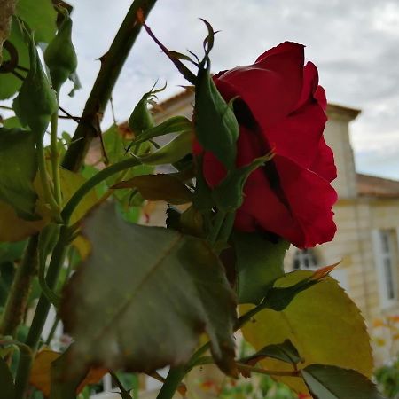 Domaine Du Chauvet Hotel Sainte-Eulalie  Екстериор снимка