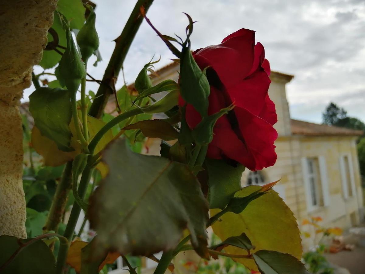 Domaine Du Chauvet Hotel Sainte-Eulalie  Екстериор снимка